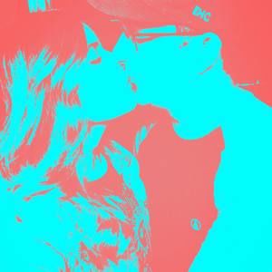 Meet your Posher, Darcie